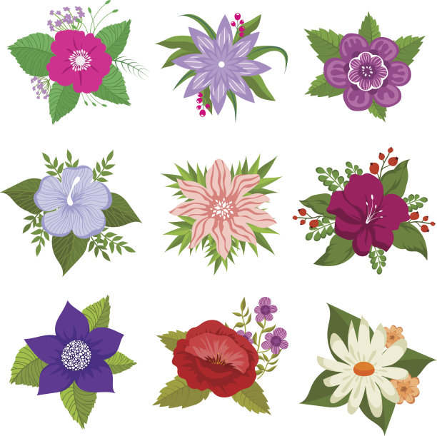 装饰自然花卉向量集图片下载