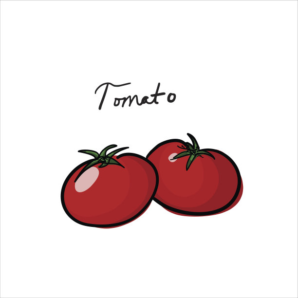 番茄手写体图片下载