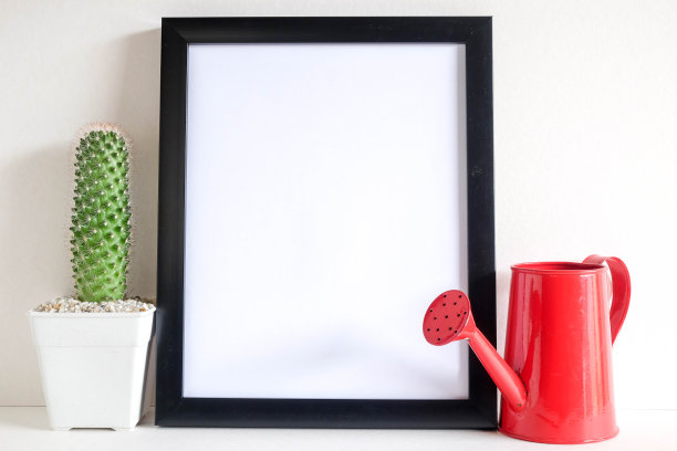 多肉或仙人掌在混凝土锅在架子上的白色背景和模拟相框照片图片下载
