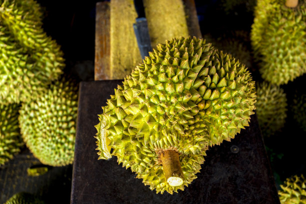泰国美味的水果之王。这是榴莲。图片下载
