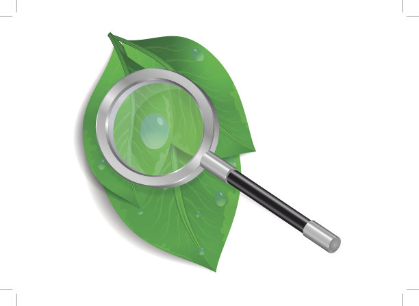 有绿叶和水滴的放大镜图片下载