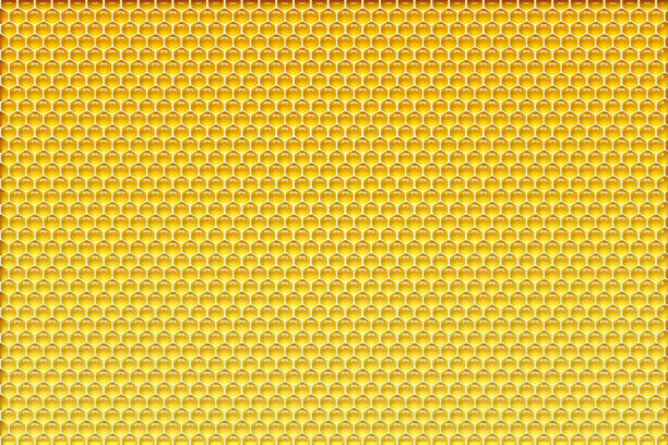 蜂窝背景图片下载