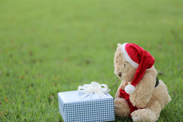 草坪上的泰迪熊和礼品盒图片下载
