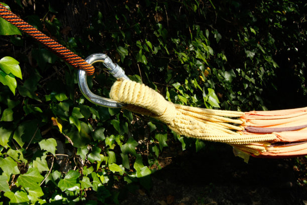 把吊床挂在树间图片下载