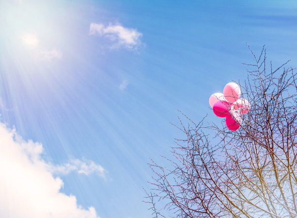 树上的粉色气球对着天空图片下载