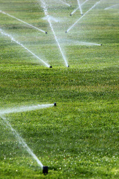 绿色草坪上的洒水器图片下载