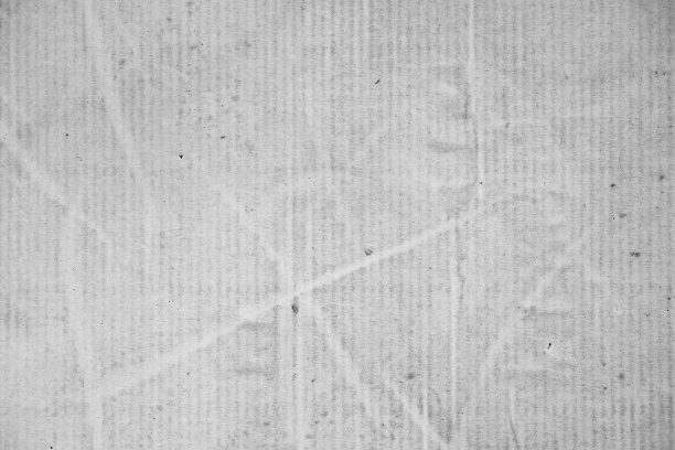 树叶在白色混凝土墙上的阴影图片下载