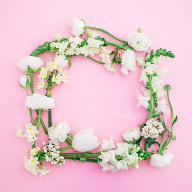 花框架由白色的花在粉红色的背景。平躺，俯视图。花的背景图片下载