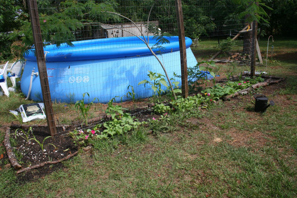 花园附近的游泳池图片下载