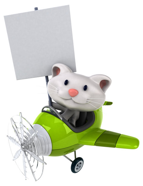 有趣的猫图片下载