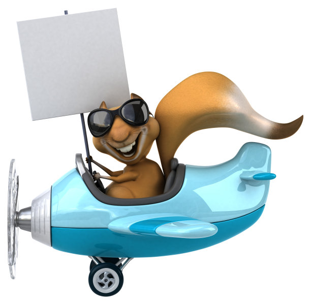 有趣的松鼠图片下载