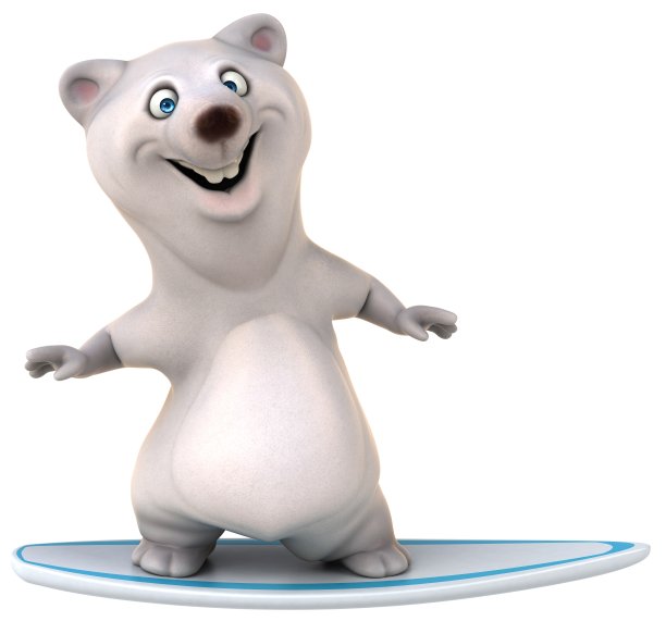 有趣的熊图片下载