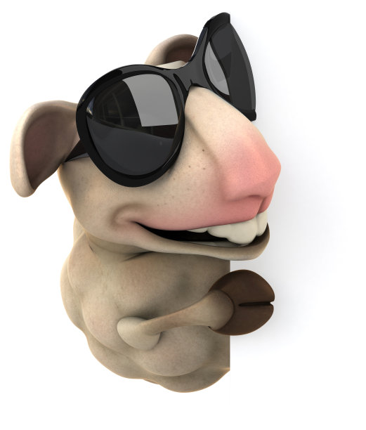 有趣的羊图片下载