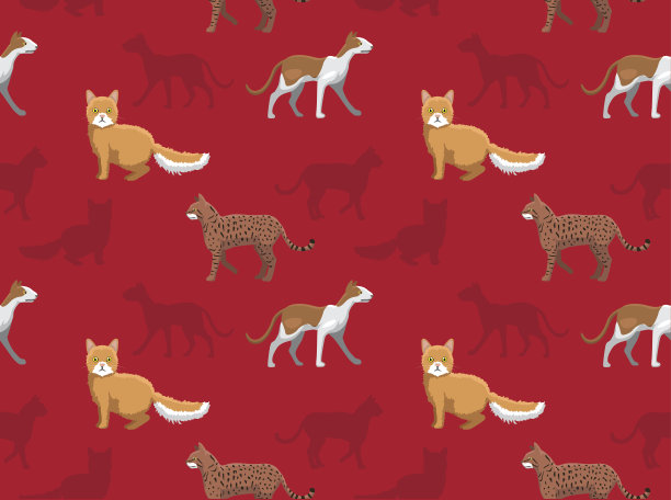 猫壁纸10图片下载