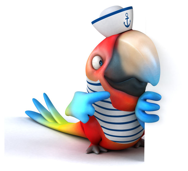 有趣的鹦鹉图片下载