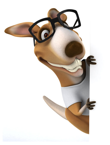 有趣的袋鼠图片下载