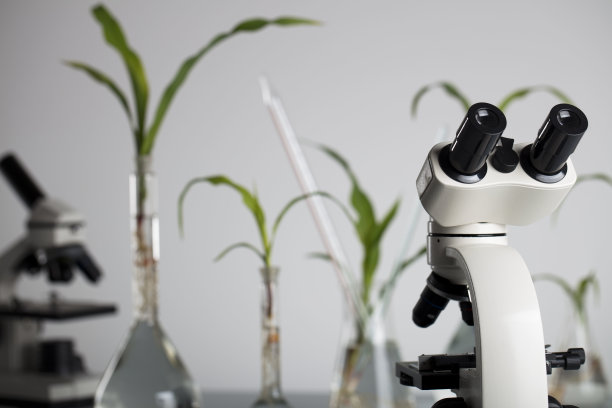 生物实验室图片下载