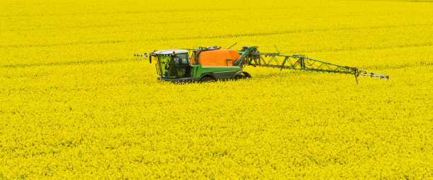 拖拉机喷油菜田图片下载