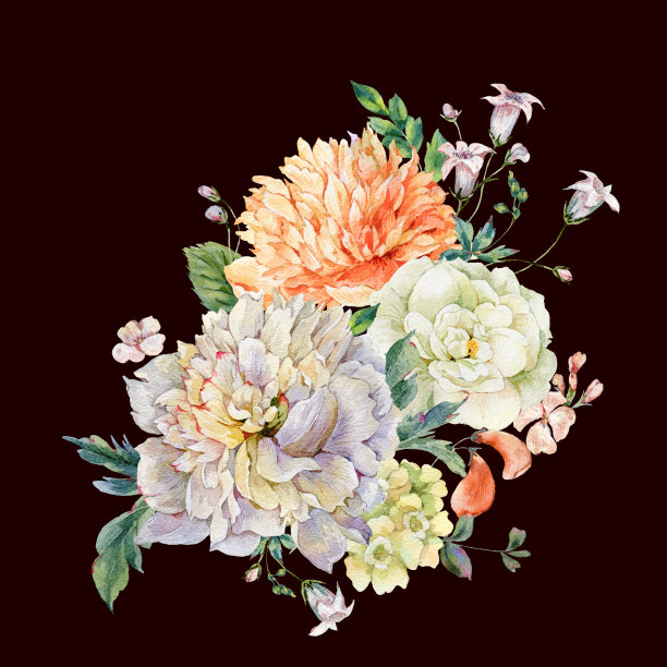 水彩画盛开的牡丹和野花图片下载