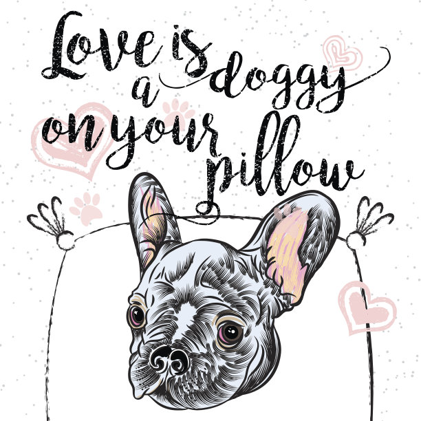 法国斗牛犬的肖像。爱是你枕头上的小狗。孤立在白色的背景与心和火花与爱的标志。图片下载