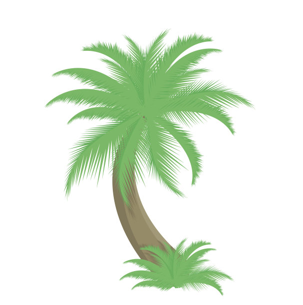 棕榈树矢量图图片下载
