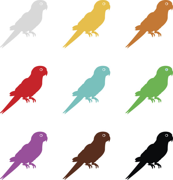 鹦鹉轮廓图片下载