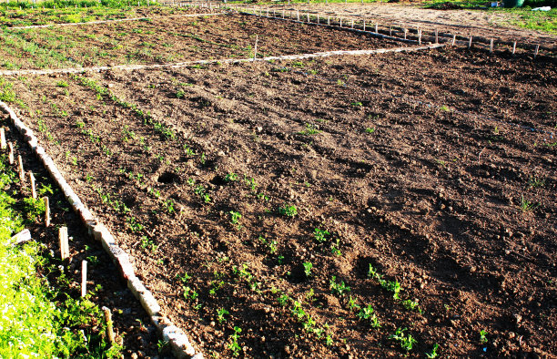 只是种植场图片下载
