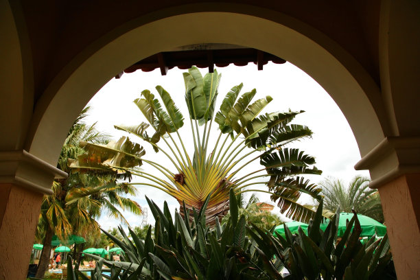 拱在建设图片下载