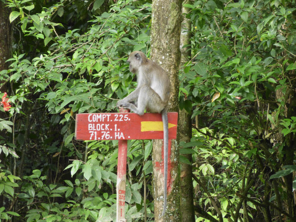 坐在标牌上图片下载