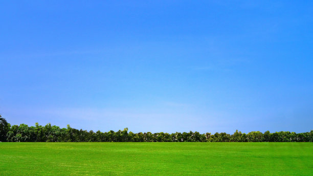 绿草地，蓝天图片下载