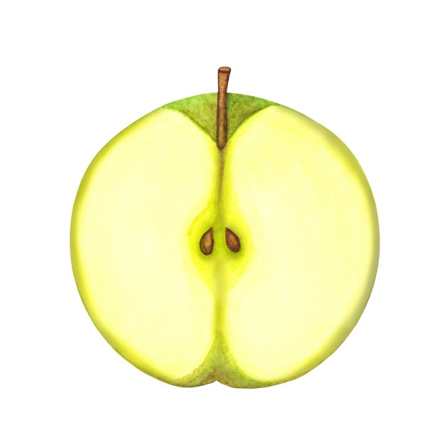 水彩半片，青苹果片图片下载