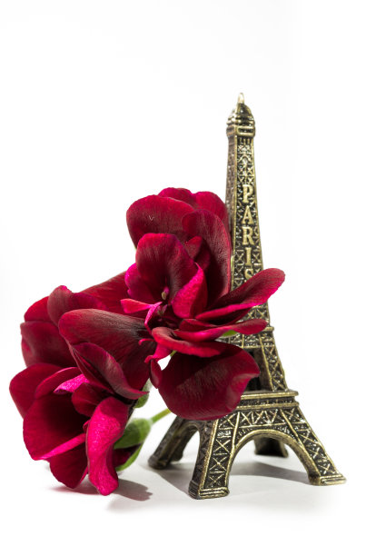 埃菲尔铁塔，巴黎，法国，身边真正的红花图片下载