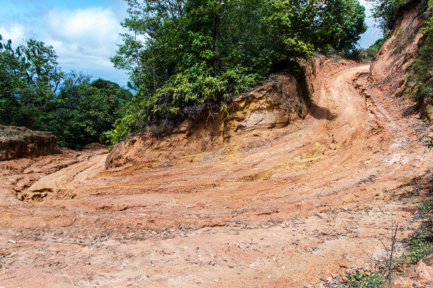蜿蜒的乡村土路与雨林图片下载