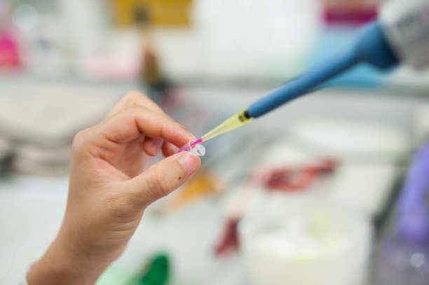 实验室用微型吸管将生物溶液滴入埃彭多夫图片下载