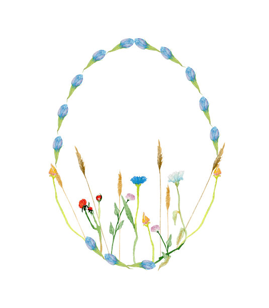圆形框架由手绘野花制成图片下载