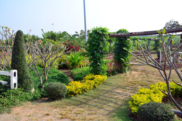 泰国碧碧府的花园图片下载