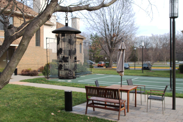 运动场及休息区图片下载