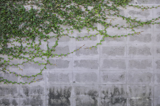 旧砖墙，大块的维可牢尼龙搭扣草图片下载