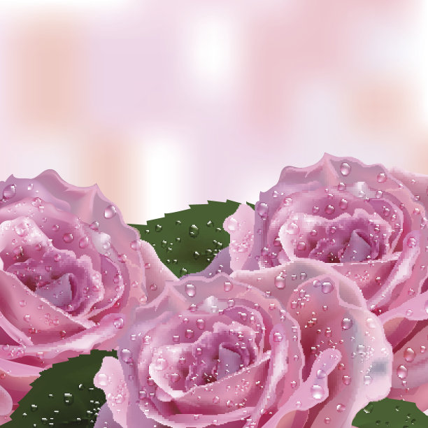 背景邀请卡片和玫瑰图片下载