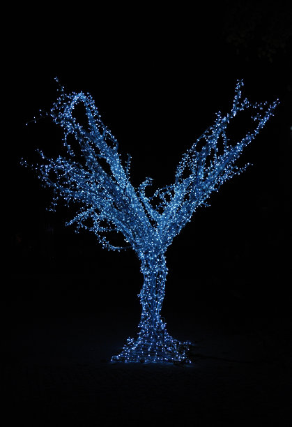 像一个天使图片下载