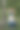穿着蓝色裙子的美丽年轻女子站在一棵桦树旁图片下载