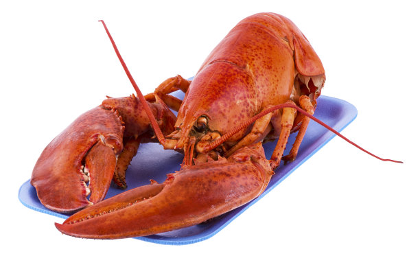 煮熟的龙虾图片下载