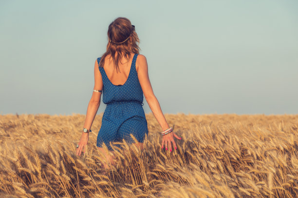 年轻女子在麦田里休息。图片下载
