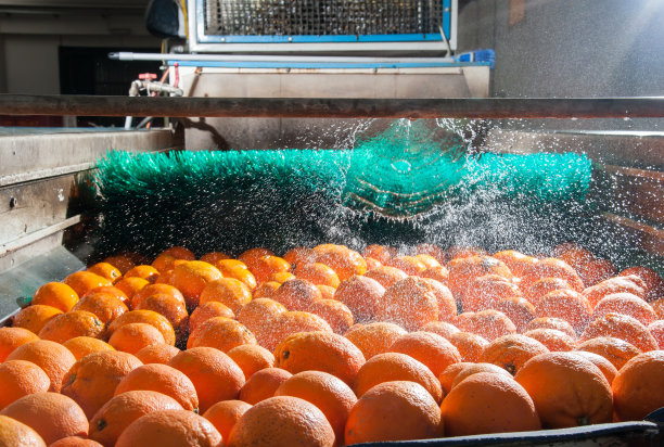 柑橘类水果的加工素材图片