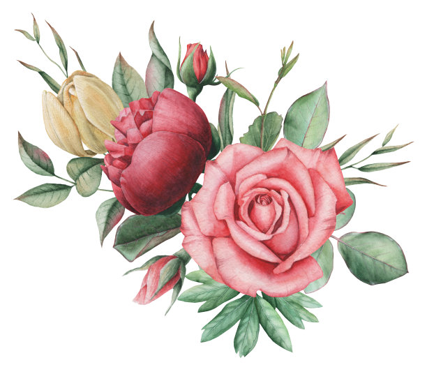 手绘水彩迷人的花和叶的组合，孤立在白色的背景素材图片