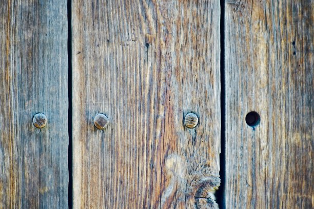 风化木图片下载