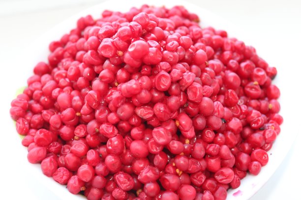 收获的红五味子分离图片下载