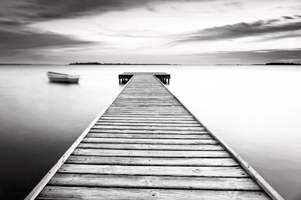 游荡着，黑色和枯萎图片下载