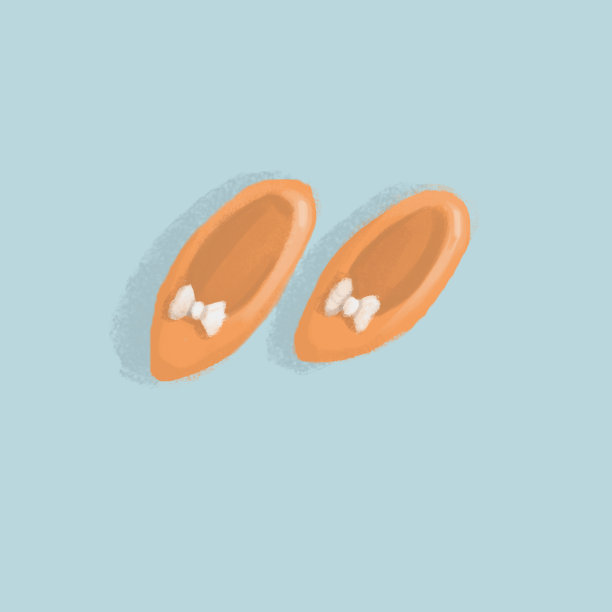 棕色皮革插图图片下载