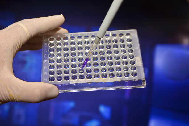 在生物医学实验室。图片下载